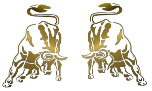 Attounisa Rent A Car LOGO